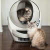 Le Migliori 6 Lettiere per Gatti Automatiche