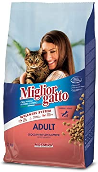 Miglior Gatto - Croccantini Adult per Gatti con Salmone: Vitamine