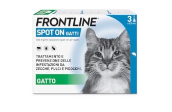I migliori 6 Antiparassitari Economici per Gatti