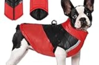 I Migliori 7 Cappotti Invernali per Cani di Piccola Taglia