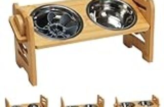 Le Migliori 8 Ciotole Antipasta per Cani Anziani