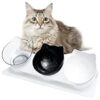 Le Migliori 5 Ciotole Ergonomiche per Gatti Antiscivolo
