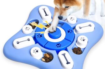 Le Migliori 7 Ciotole Interattive per Cani