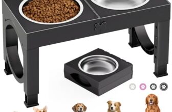 Le Migliori 6 Ciotole per Cani Anziani