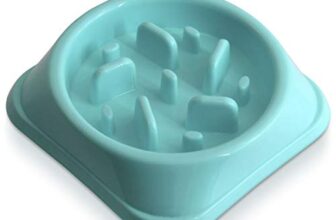 Le migliori 7 Ciotole Slow Feeder per Gattini