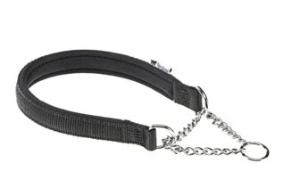 I migliori 5 Collari in Nylon per Cani di Taglia Media