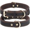 I Migliori 6 Collari in Pelle per Cani