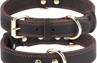 I Migliori 6 Collari in Pelle per Cani