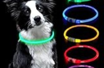 I Migliori 7 Collari LED per Gatti