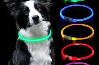 I migliori 7 Collari LED ricaricabili per Cani