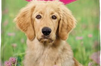 Le migliori 7 Crocchette per Cuccioli di Taglia Grande