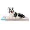 Le Migliori 7 Cucce Memory Foam per Cani Anziani