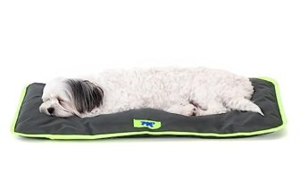 I Migliori 6 Cuscini Impermeabili per Gatti