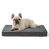 I migliori 6 Cuscini Memory Foam per Cani di Taglia Media