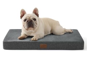 I migliori 6 Cuscini Memory Foam per Cani di Taglia Media