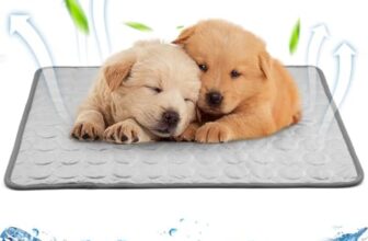 I Migliori 5 Cuscini Rinfrescanti per Gatti