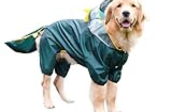 Le Migliori 5 Giacche Impermeabili per Cani di Taglia Grande