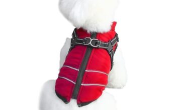 Le migliori 6 Giacche Riflettenti per Cani Piccoli