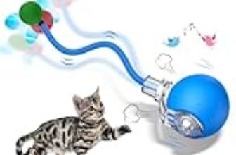 Le Migliori 6 Giochi per Gatti Anziani Interattivi