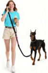 I Migliori 6 Guinzagli Hands-Free per Cani