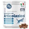 I Migliori 6 Integratori per Cani Anziani