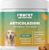 I Migliori 8 Integratori per Cani Attivi con Glucosamina
