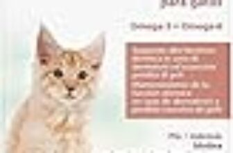 I Migliori 6 Integratori per Gatti con Omega 3