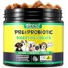 I Migliori 7 Integratori Probiotici per Cani