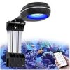Le Migliori 7 Lampade LED per Acquario Marino con Controllo WiFi