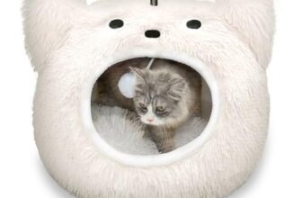 I migliori 6 Lettini Igloo per Gatti