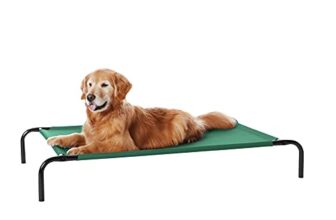 I migliori 7 Lettini Rialzati per Cani