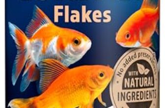 I Migliori 7 Mangimi per Pesci d’Acqua Fredda