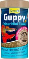 I Migliori 8 Mangimi per Pesci Guppy in Fiocchi