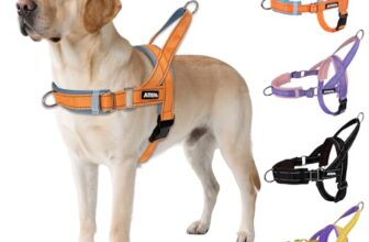 Le migliori 6 Pettorine Anti Tiro per Cani