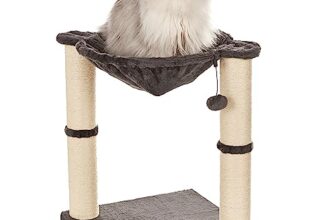 I migliori 6 Tiragraffi con Amaca per Gatti