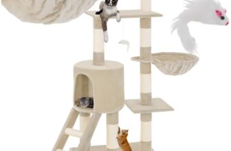 I Migliori 5 Tiragraffi Economici per Gattini