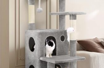 I Migliori 5 Tiragraffi per Gatti Anziani