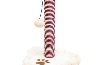 I migliori 6 Tiragraffi per Gattini