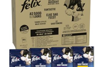 I migliori 6 Buste di Cibo Umido per Gatti