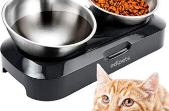 Le migliori 7 Ciotole Doppie in Acciaio Inox per Gatti