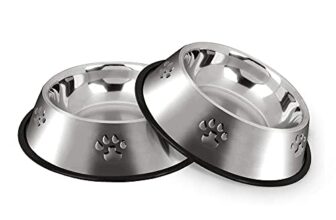 Le Migliori 6 Ciotole per Cani di Taglia Media