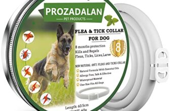 I migliori 6 Collari Antiparassitari Impermeabili per Cani