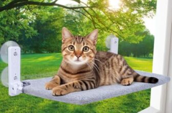 Le migliori 6 Cucce da Finestra per Gatti