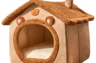 Le migliori 6 Cucce per Gattini