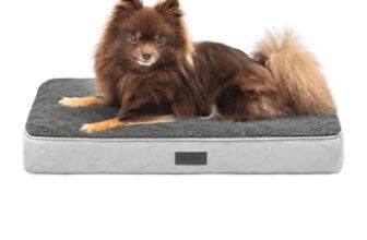 I migliori 5 Cuscini Ortopedici per Gatti Anziani