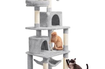 I Migliori 6 Giocattoli Resistenti per Gatti Adulti