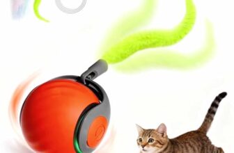 I migliori 7 Giochi Automatici per Gatti