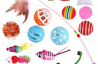 I migliori 6 Giochi per Gattini