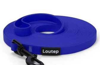 I migliori 6 Guinzagli Biothane per Cani