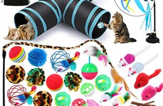 I migliori 6 Set di Giochi per Gatti